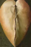 Surf Clam by Dozier Bell, 1981, Oil on canvas, offered Aug 2022