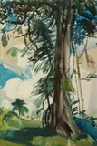Tree Study, Santo Domingo by Carl Sprinchorn, Watercolor on paper, offered Aug 2021