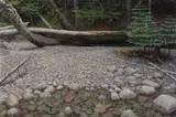 The Way In/Hunter's Brook (Mt. Desert Isle) by Phil Poirier, Acrylic on masonite, offered Aug 2021