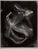 Pepper #38P by Edward Weston, 1930, Gelatin silver print, offered Feb 2021