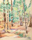 Maine Woodland by Carl Sprinchorn, Colored pencil on paper, offered Feb 2021