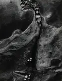 Rocks and Shore by Minor White, 1963, Gelatin silver print, offered Feb 2021