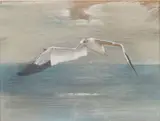 Seagull in Flight by Jim Palmer, Gouache on Paper, sold Jun 2025