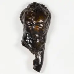 Torso by Gary Weisman, Bronze, sold Feb 2025
