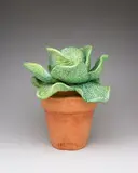 Cabbage in Pot by Victor Cicansky, 1978, glazed ceramic sculpture, sold Sep 2026