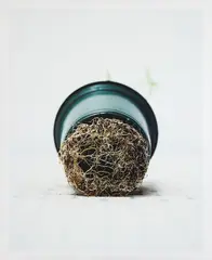 Pot and Roots #1 by Chih-Chien Wang, digital print, sold Sep 2026