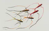 Untitled by Benjamin Chee Chee, 1976, acrylic on paper, sold Aug 2026