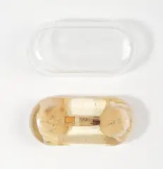 LEICHT GEWICHT by Martin Kippenberger, 1993, 2 Brötchen und Zigarette eingeschlossen in Kunstharz, mit Glasform, sold Mar 2022