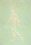 Walking in the Greens by Johannes Gecelli, 1971, Acryl auf Leinwand, mit Künstlerleiste, sold Jan 2022