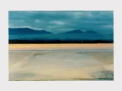 Airport by Anri Sala, 2005, C-print, sold Mar 2021