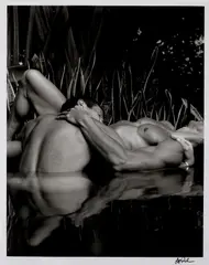 Untitled by Jeff Palmer, Gelatin silver print, offered Nov 2025