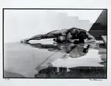 Untitled by Tom Bianchi, Gelatin silver print, offered Nov 2025