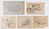 Nine (9) assorted sketches and drawings of pets and animals in by Marko Walker Vukovic, ink and graphite. Largest:, offered Oct 2025