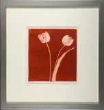 Tulips On Rust by Michael Mazur, Monotype on paper, offered Oct 2025