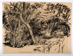 Nature Study by Gilbert A. Franklin, Charcoal on paper, offered Oct 2025