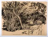 Nature Study by Gilbert A. Franklin, Charcoal on paper, offered Oct 2025