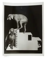 Bauwauhaus by William Wegman, Gelatin silver print. (Possibly unique), offered Feb 2025