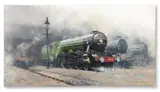 Flying scotsman by David Shepherd, Oil on canvas, sold Aug 2026