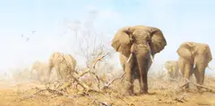 The red elephants of tsavo by David Shepherd, Oil on canvas, sold Aug 2026