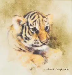 A tiger cub by David Shepherd, Oil on canvas, sold Aug 2026