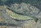 Trout: after courbet by Adrian Ryan, Oil on canvas board, sold Jul 2026