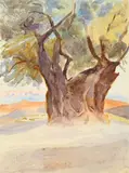 A tree, near bethlehem by Emily Sargent, 1904, Watercolour, sold Jul 2026