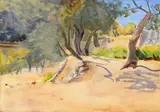 Olive grove by Emily Sargent, Watercolour, sold Jul 2026