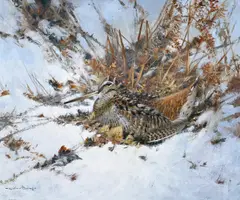 Winter woodcock in bracken by Colin W. Burns, Oil on board, sold Jun 2026