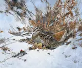 Winter woodcock in bracken by Colin W. Burns, Oil on board, sold Jun 2026