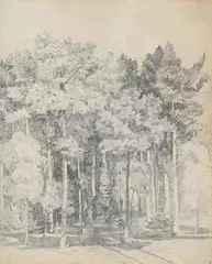 Study of trees by John Sell Cotman, Pencil, sold Jun 2026