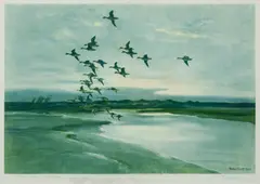 Wigeon in flight, SIGNED AND INSCRIBED BY ARTIST 'To Con & Anne from Pete'  with a pencil drawing of 5 wigeon (to lower margin);  Wigeon coming into the reeds, again with pencil sketch to lower margin; and 10 others of duck, geese and swans by Peter Markham Scott, 10 published by Arthur Ackermann, sold Jun 2014