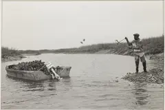 Oyster Caster by Jack Leigh, Silver Gelatin, sold Jun 2024