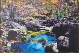 Landscape by Frederick Nichols, 1983, Oil on Canvas, sold Jun 2024
