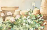 Still Life by Lynne Grant, Watercolor, offered Feb 2024