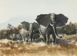Elephants by Ray Ellis, 2005, Watercolor, sold Feb 2024