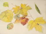Études de feuilles d’automne by Étienne de Lierres, Aquarelle, sold Oct 2026