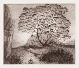 Gram Glover's Tree on Bragg's Island by David Blackwood, etching, sold Aug 2026