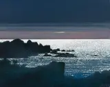 Pacific Gold by Ronald William Bolt, 1999, oil on board, sold Aug 2026