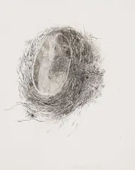 Nest by Betty Goodwin, 1973, pen and ink on paper, sold Jul 2026