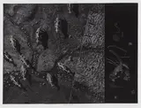 Moon's Eye by Joseph Hector Yvon Fafard, 1985, etching on paper, sold Jul 2026