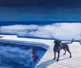 Black Dog (Georgian Bay) by Alexandra Haeseker, acrylic on canvas, sold Jun 2026