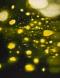 Untitled (Yellow) by Chris Rogers, oil on canvas, sold Jun 2026