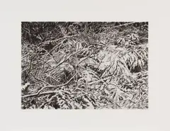 February Snow by Gordon A. Smith, 2000, intaglio print on paper, sold Jun 2026