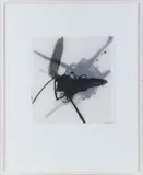Insekt 6 T by Ursula Goeb, Ink on vellum, offered Dec 2024
