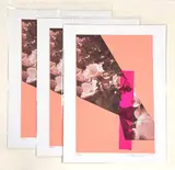 Brooklyn Botanical by Jude Broughan, 2014, Lithograph, offered Dec 2024