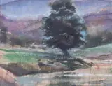Trout Stream by Edith Hoyt, Gouache on paper, offered Oct 2024