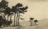 Landscape with Trees in the Wind by Nita Spillhaus, engraving, sold Mar 2021