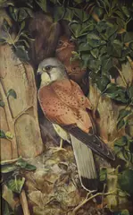 Untitled by R Keep, Oil on board, sold Aug 2026