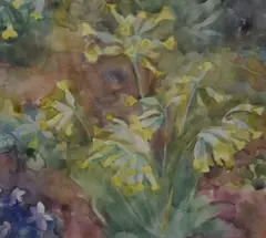 Cowslips in France by Anna Adams, Watercolour 'Cowslips in France', a vibrant wildflower study, signed and dated, sold Aug 2026