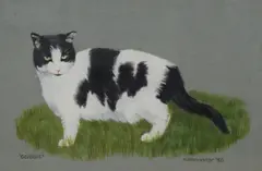 Gussie by M Bannister, Acrylic on paper 'Gussie', a study of a black and white cat in grass, signed and dated, sold Jul 2026